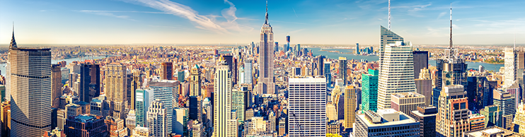 new york flights