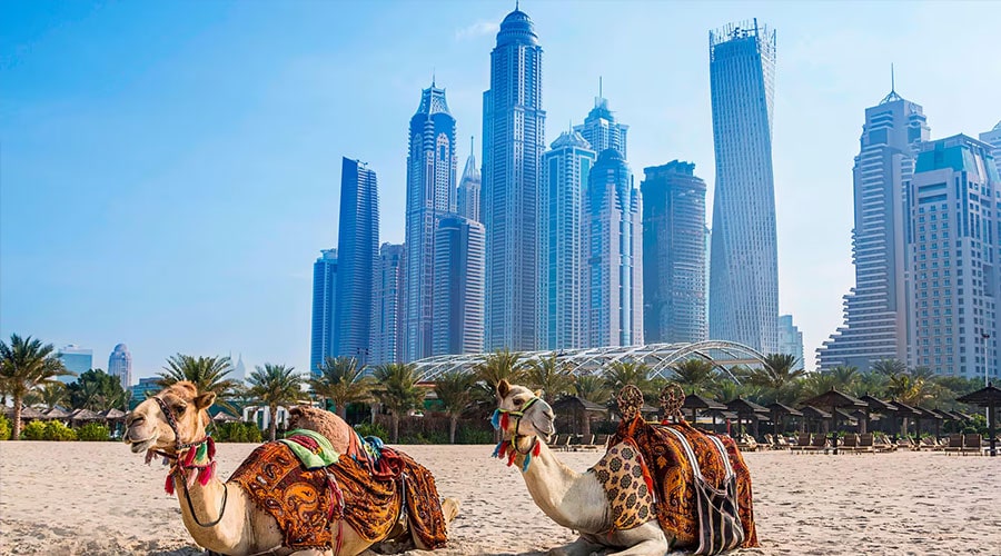 Habtoor Grand Resort, Autograph Collection, Dubai